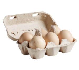 eierdozen